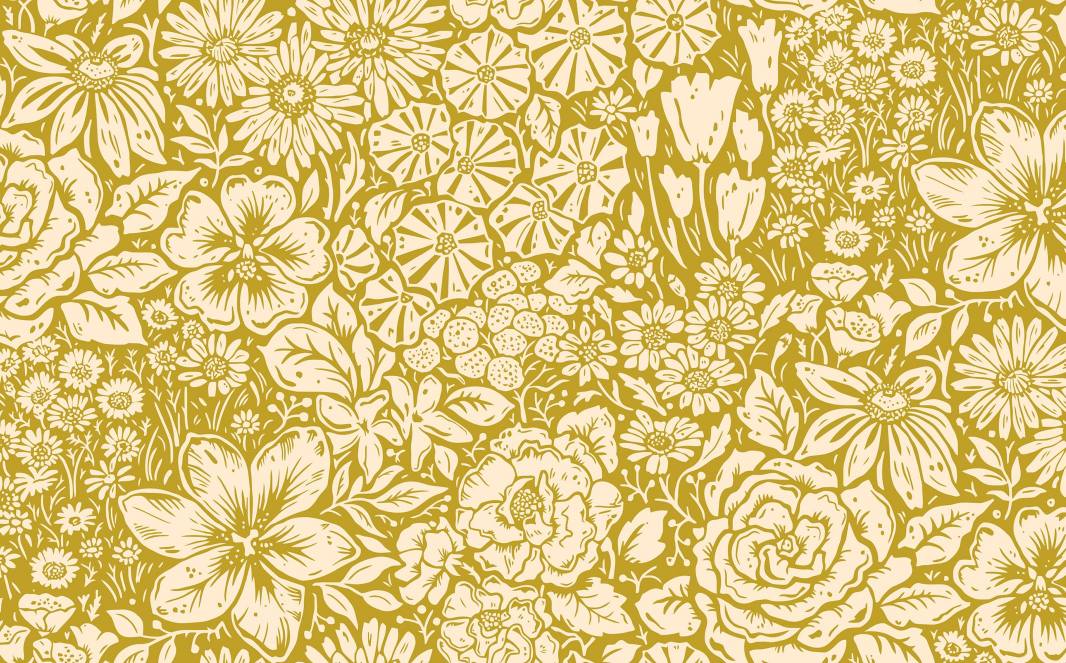 CLASSICO Fabric Cotton Tana Lawn 3m