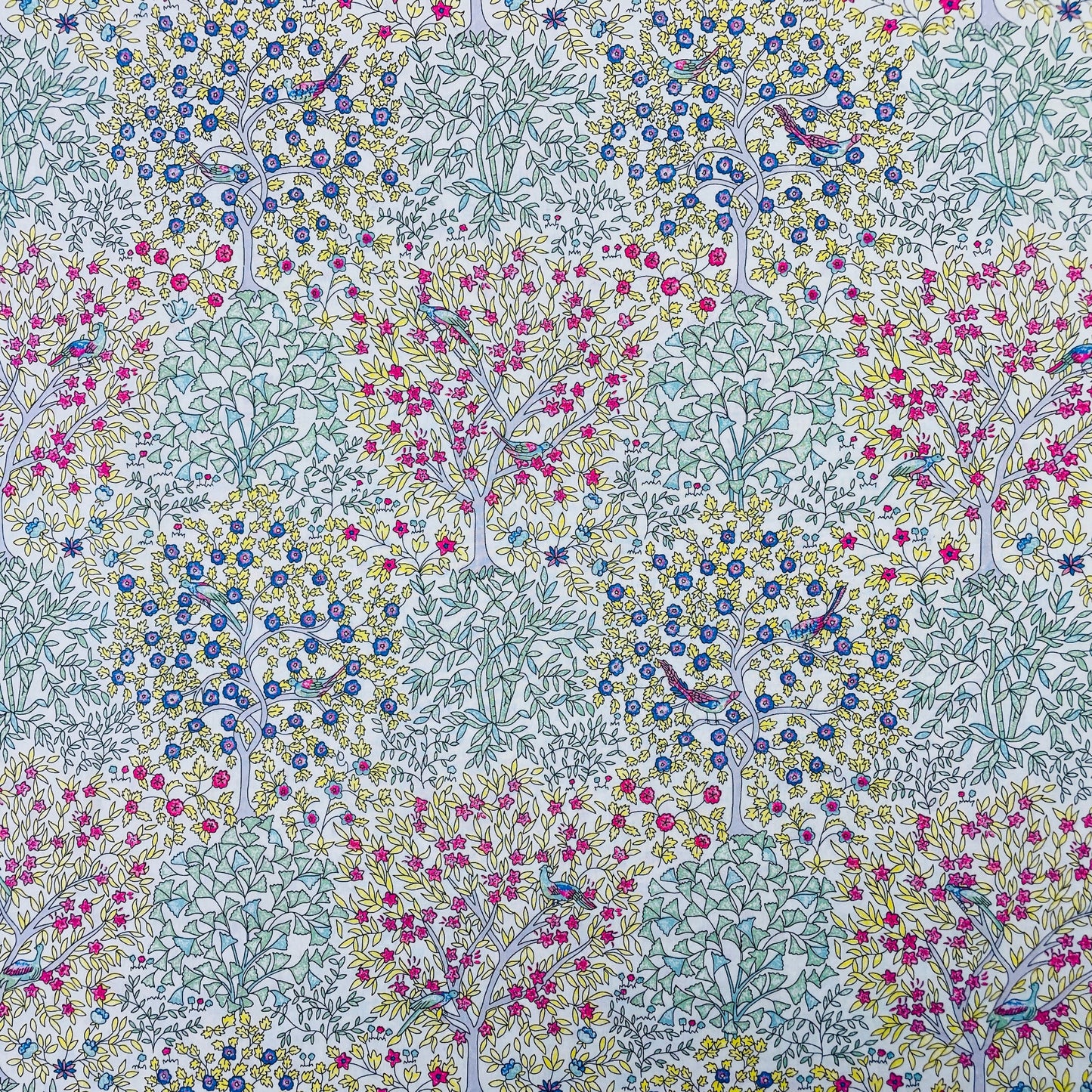 Liberty Fabrics Jess & Jean A Tana Lawn Cotton