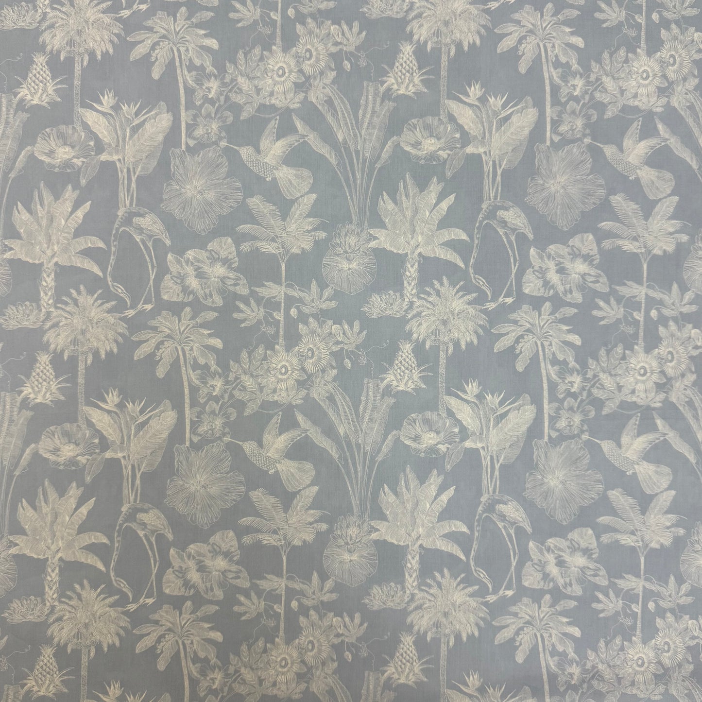 Liberty Fabrics Darwin's Voyage B Tana Lawn Cotton 3m