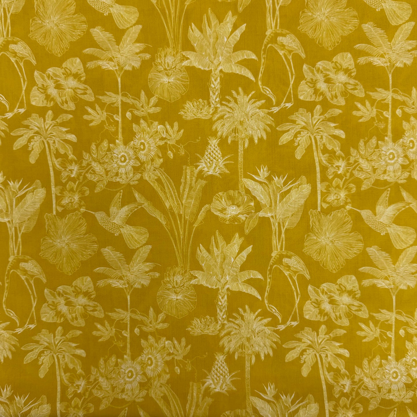Liberty Fabrics Darwin's Voyage A Tana Lawn Cotton 3m