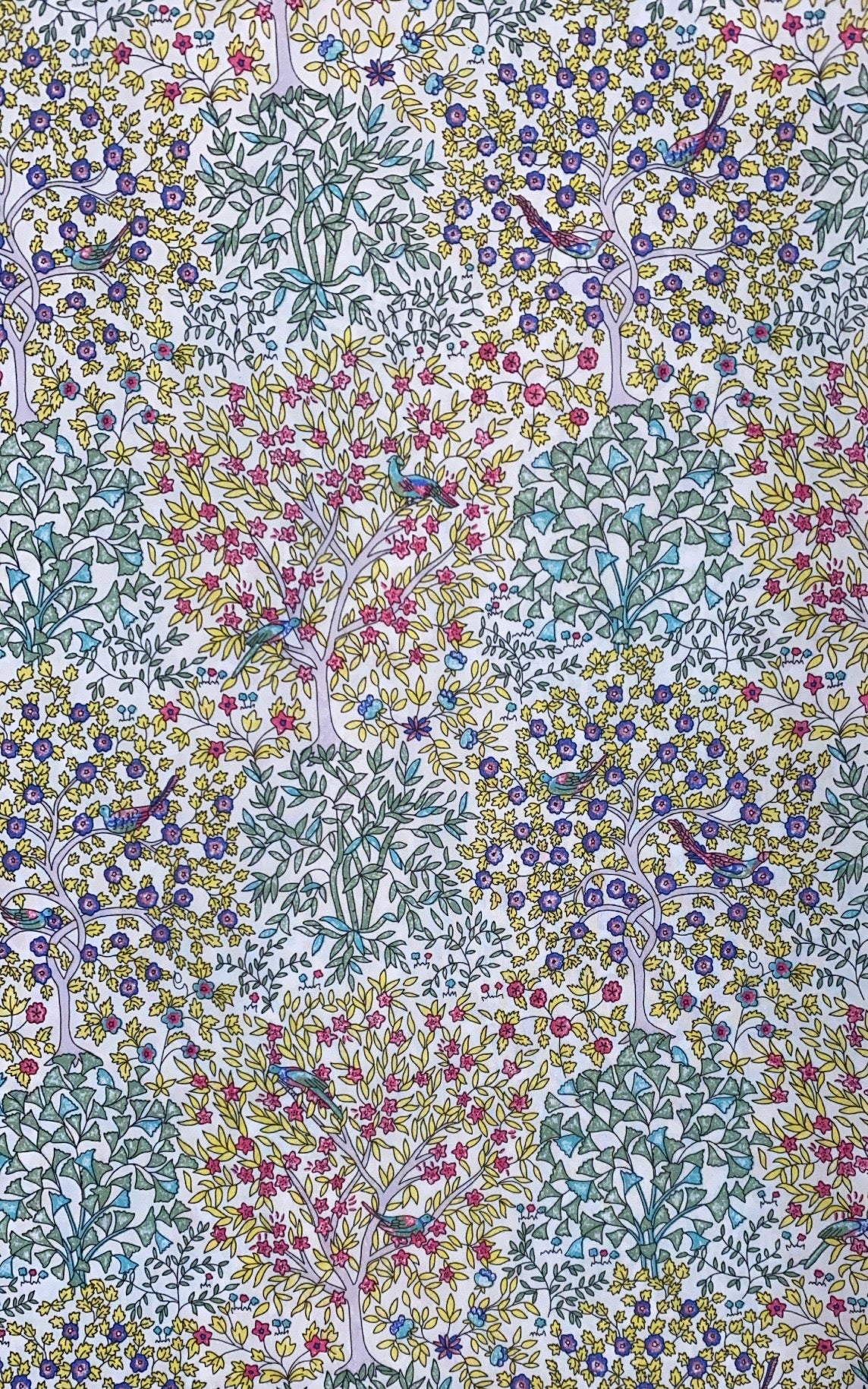 Liberty Fabrics Jess & Jean A Tana Lawn Cotton