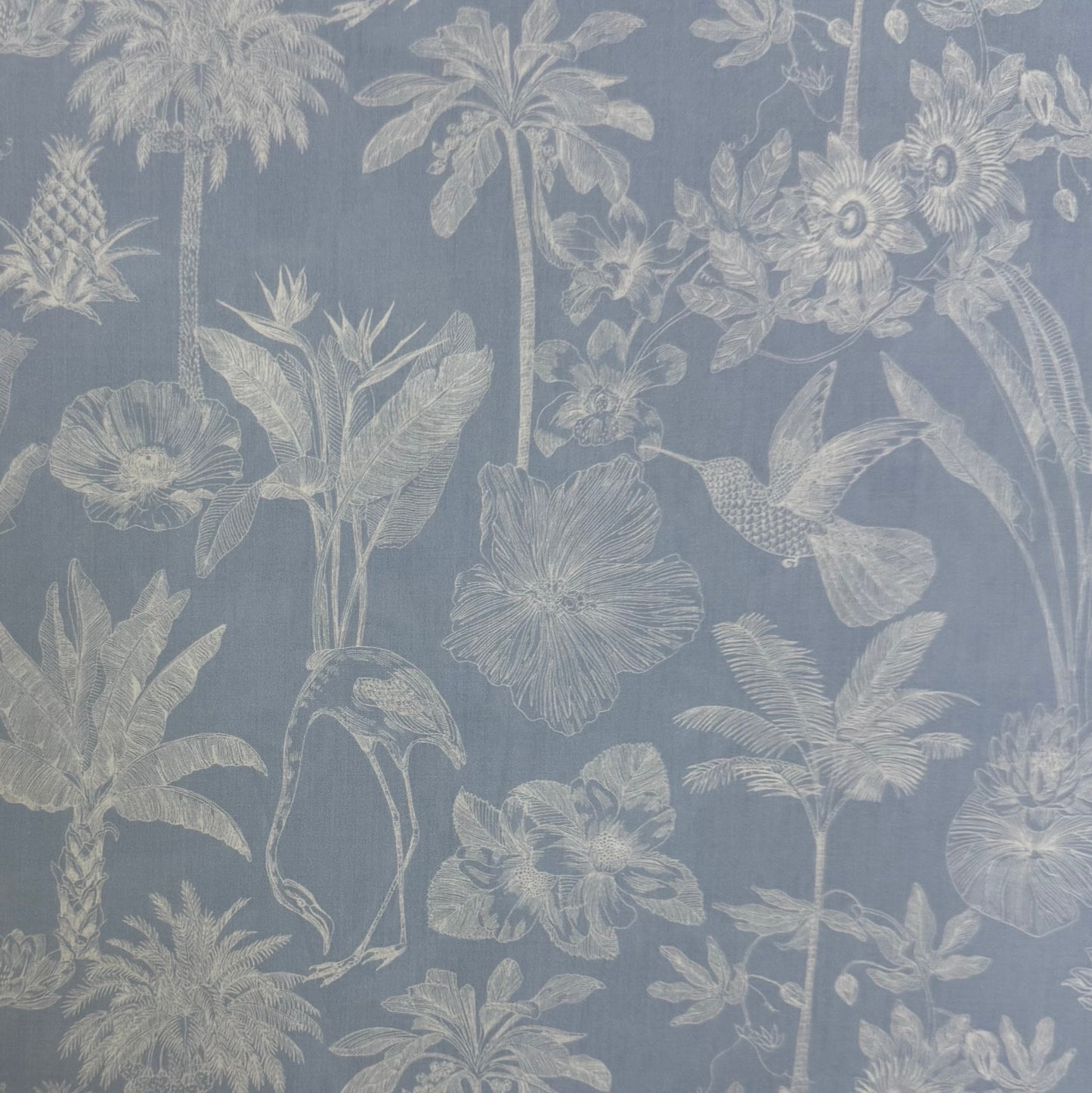 Liberty Fabrics Darwin's Voyage B Tana Lawn Cotton 3m